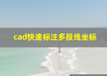 cad快速标注多段线坐标