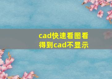 cad快速看图看得到cad不显示