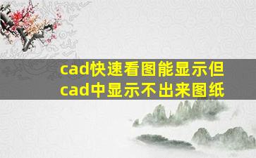 cad快速看图能显示但cad中显示不出来图纸