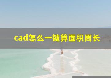 cad怎么一键算面积周长