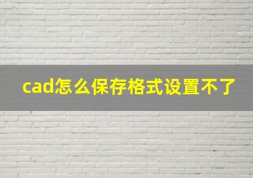 cad怎么保存格式设置不了