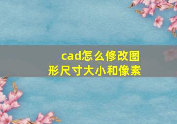 cad怎么修改图形尺寸大小和像素