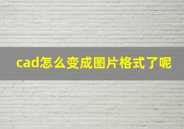 cad怎么变成图片格式了呢