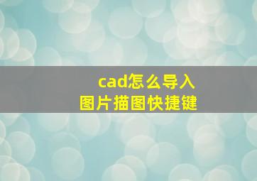 cad怎么导入图片描图快捷键