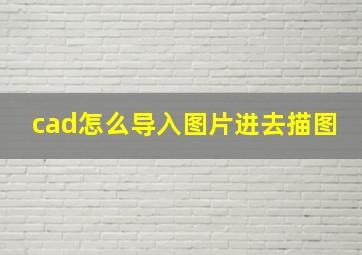 cad怎么导入图片进去描图