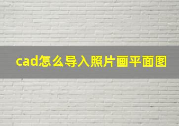 cad怎么导入照片画平面图