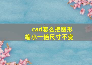 cad怎么把图形缩小一倍尺寸不变