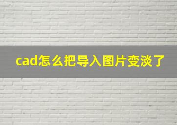 cad怎么把导入图片变淡了