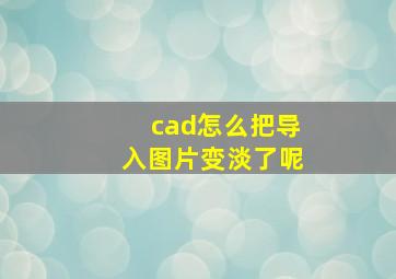 cad怎么把导入图片变淡了呢