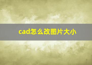 cad怎么改图片大小