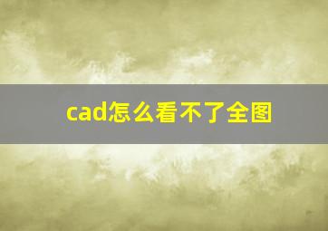 cad怎么看不了全图