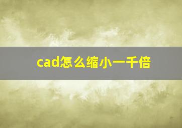 cad怎么缩小一千倍