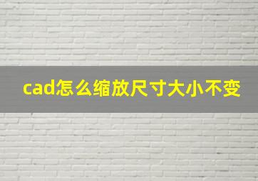 cad怎么缩放尺寸大小不变