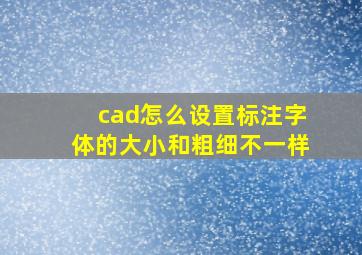 cad怎么设置标注字体的大小和粗细不一样