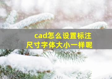 cad怎么设置标注尺寸字体大小一样呢