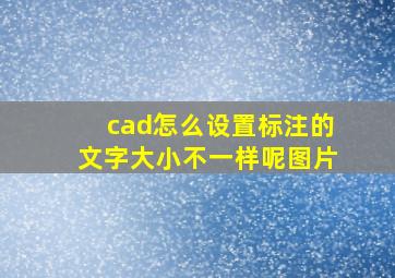 cad怎么设置标注的文字大小不一样呢图片