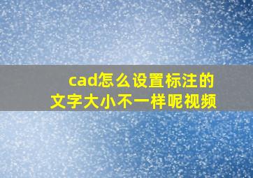 cad怎么设置标注的文字大小不一样呢视频