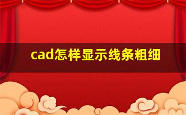 cad怎样显示线条粗细