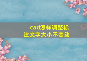 cad怎样调整标注文字大小不变动