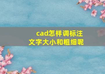 cad怎样调标注文字大小和粗细呢