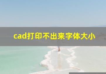 cad打印不出来字体大小