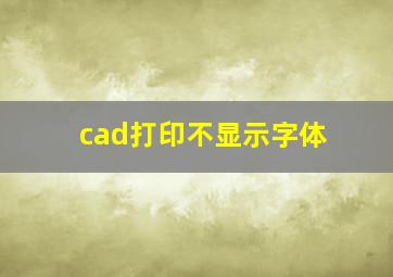 cad打印不显示字体