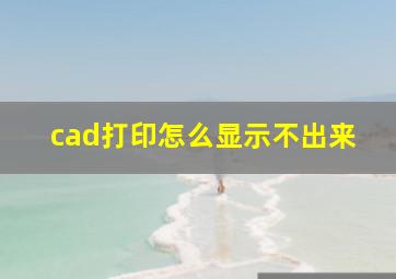 cad打印怎么显示不出来