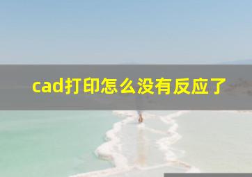 cad打印怎么没有反应了