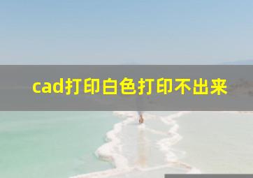 cad打印白色打印不出来