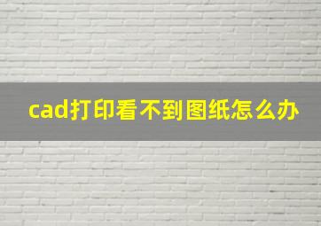 cad打印看不到图纸怎么办