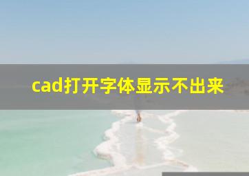 cad打开字体显示不出来