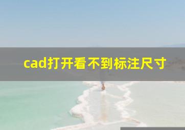 cad打开看不到标注尺寸