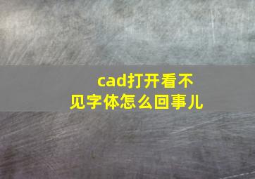 cad打开看不见字体怎么回事儿