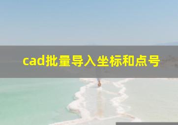 cad批量导入坐标和点号