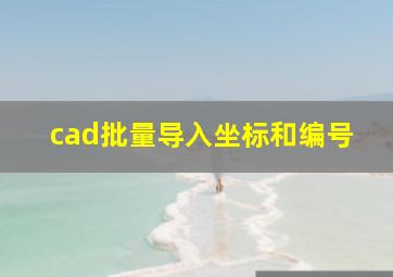 cad批量导入坐标和编号