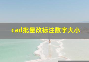 cad批量改标注数字大小