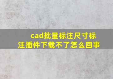 cad批量标注尺寸标注插件下载不了怎么回事