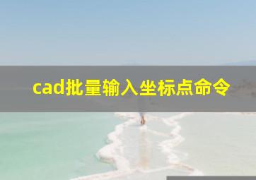 cad批量输入坐标点命令