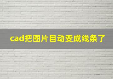 cad把图片自动变成线条了