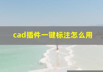 cad插件一键标注怎么用