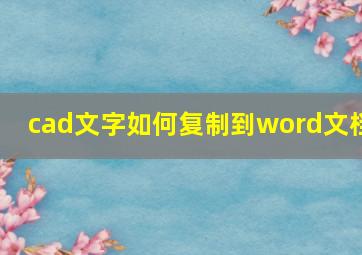 cad文字如何复制到word文档