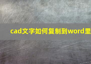 cad文字如何复制到word里