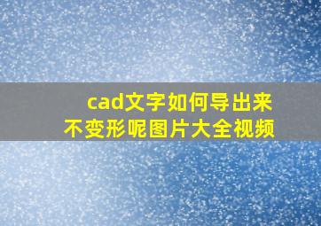 cad文字如何导出来不变形呢图片大全视频