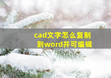 cad文字怎么复制到word并可编辑