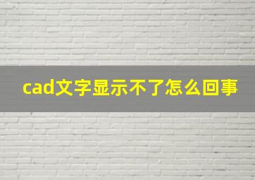 cad文字显示不了怎么回事