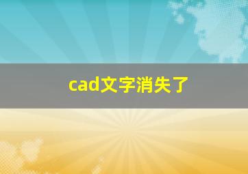 cad文字消失了