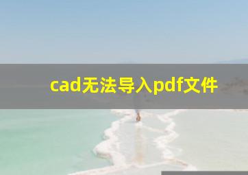 cad无法导入pdf文件