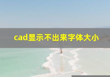 cad显示不出来字体大小