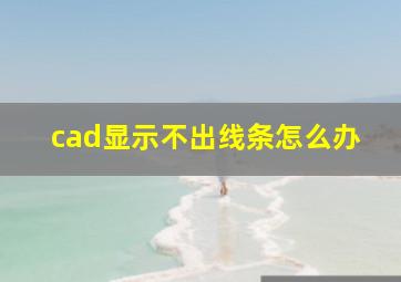 cad显示不出线条怎么办