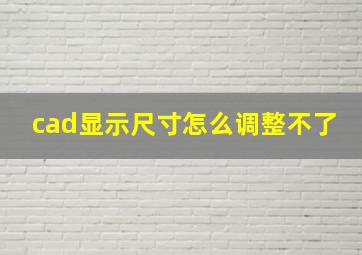 cad显示尺寸怎么调整不了